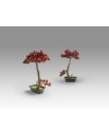 BUJIN-HI - BONSAI 45CM- SET 2